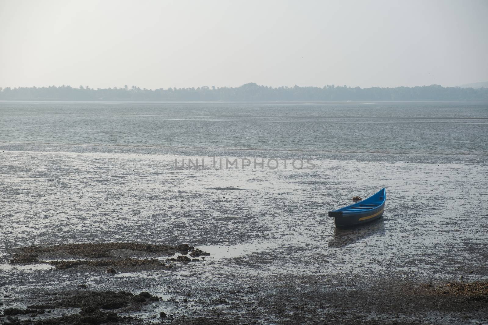 An old abandoned rowboat in shallow water, Goa, India