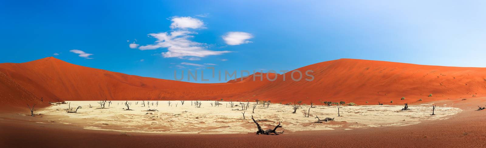 Panorama of red dunes and dead camel thorn trees in Deadvlei, Namibia by nickfox