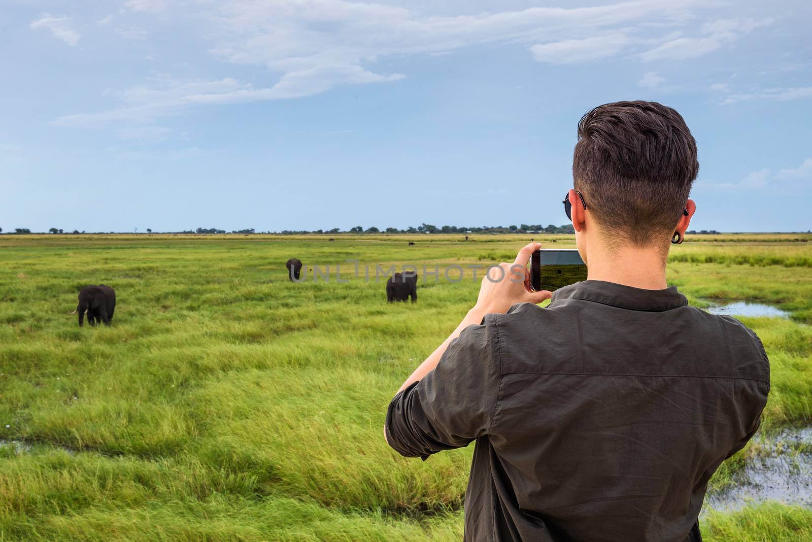 Tourist films elephants with a smartphone in Chobe National Park, Botswana by nickfox