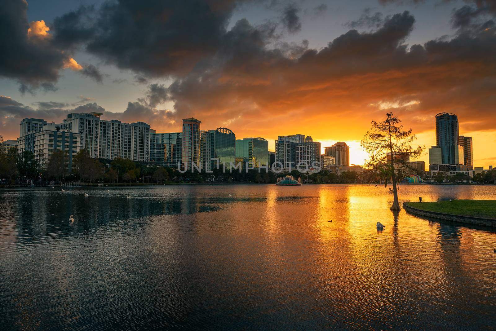 Colorful sunset above Lake Eola and city skyline in Orlando, Florida by nickfox