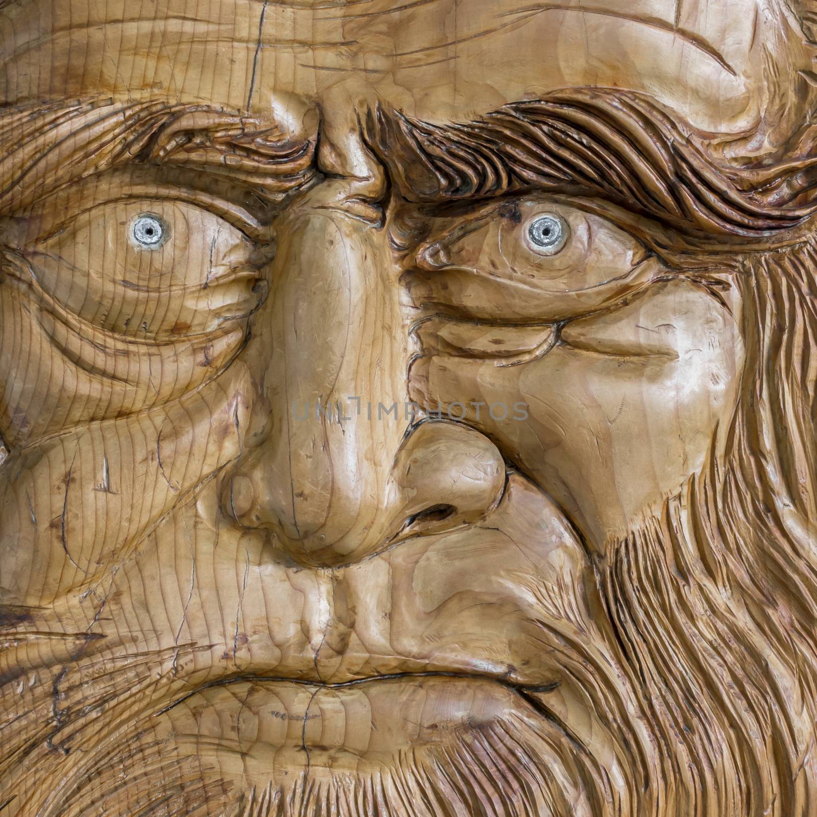 Portrait of Leonardo da Vinci carved in wood