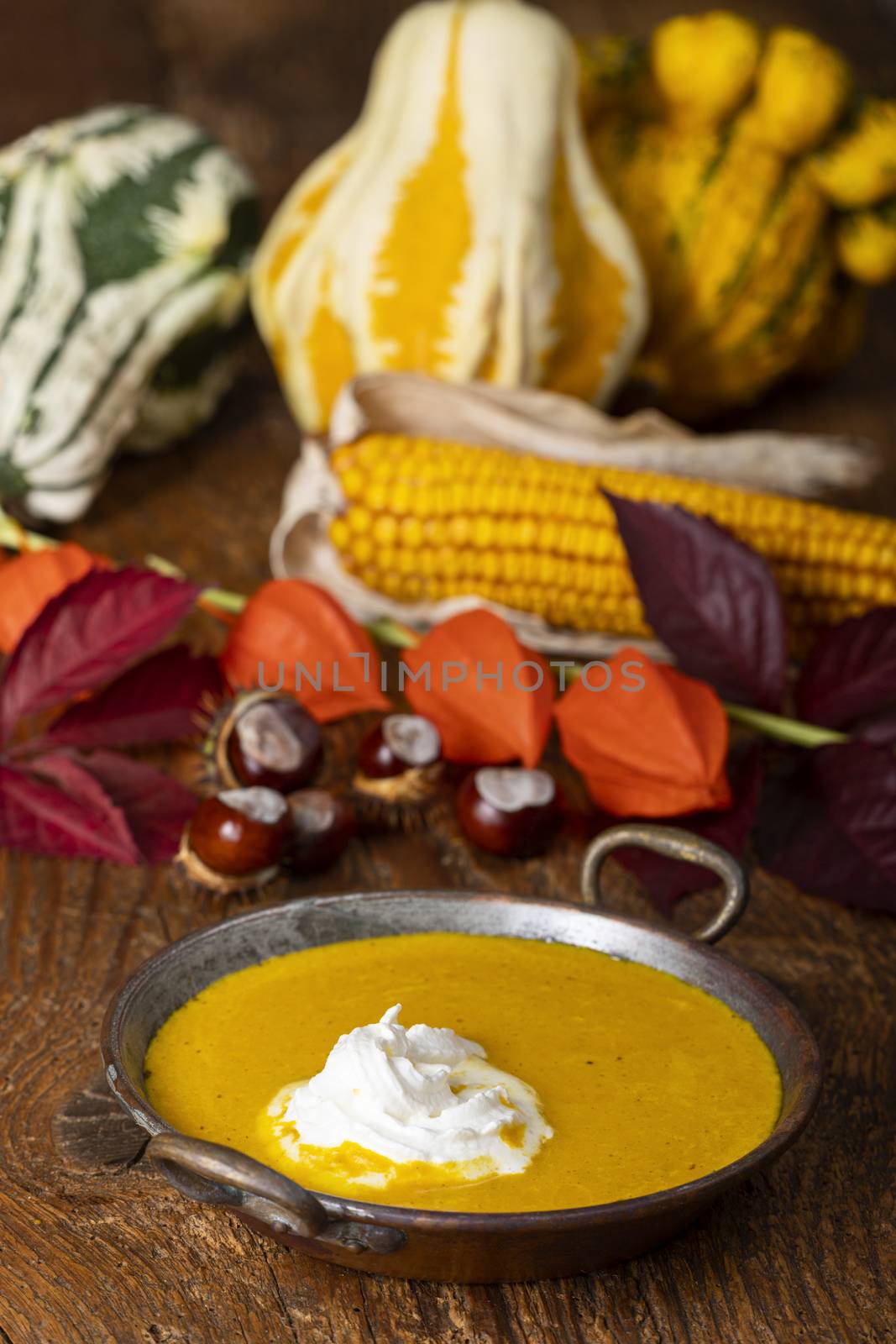 pumpkin soup by bernjuer