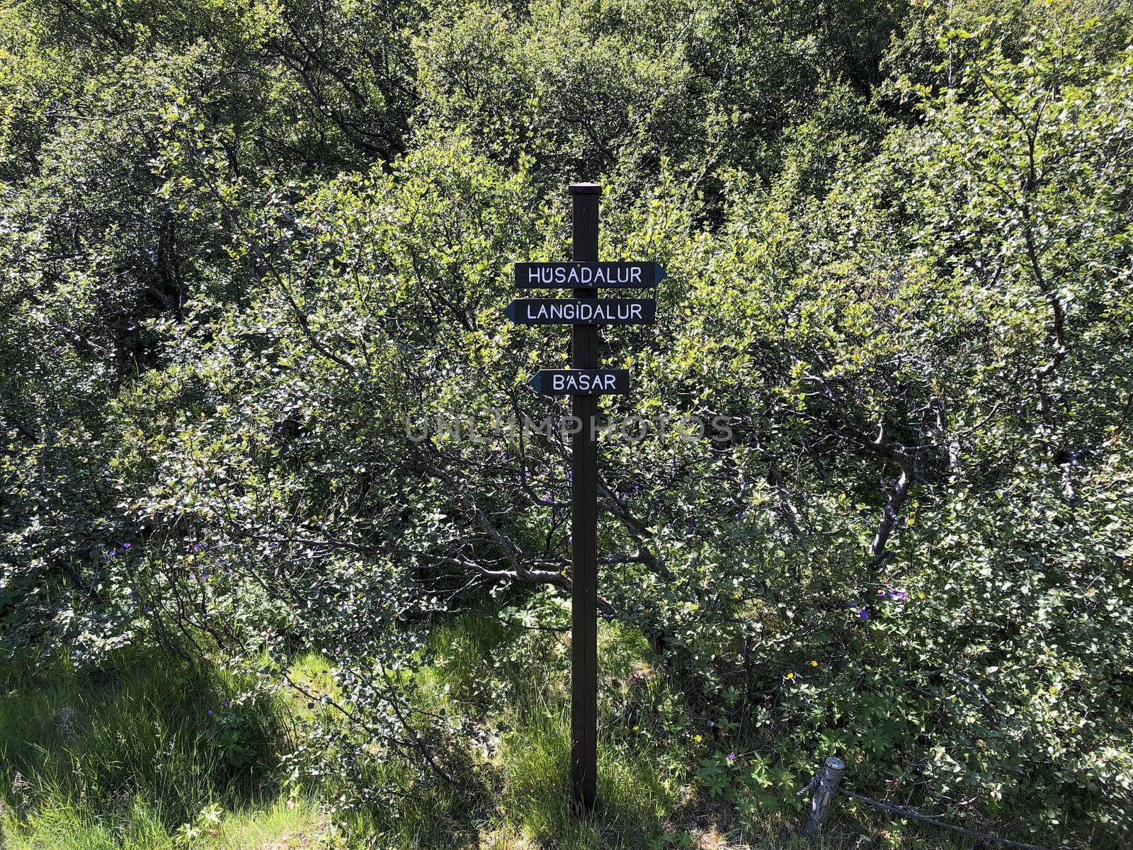 Directional sign pole on Laugavegur hiking trail, pointing to husadalur, langidalur and basar. by kb79