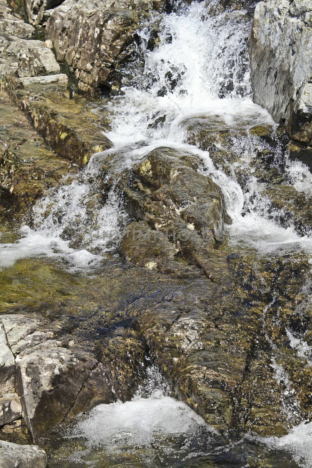 Water of Storebottåne river by vavatn lake, Hemsedal, Norway. by Arkadij