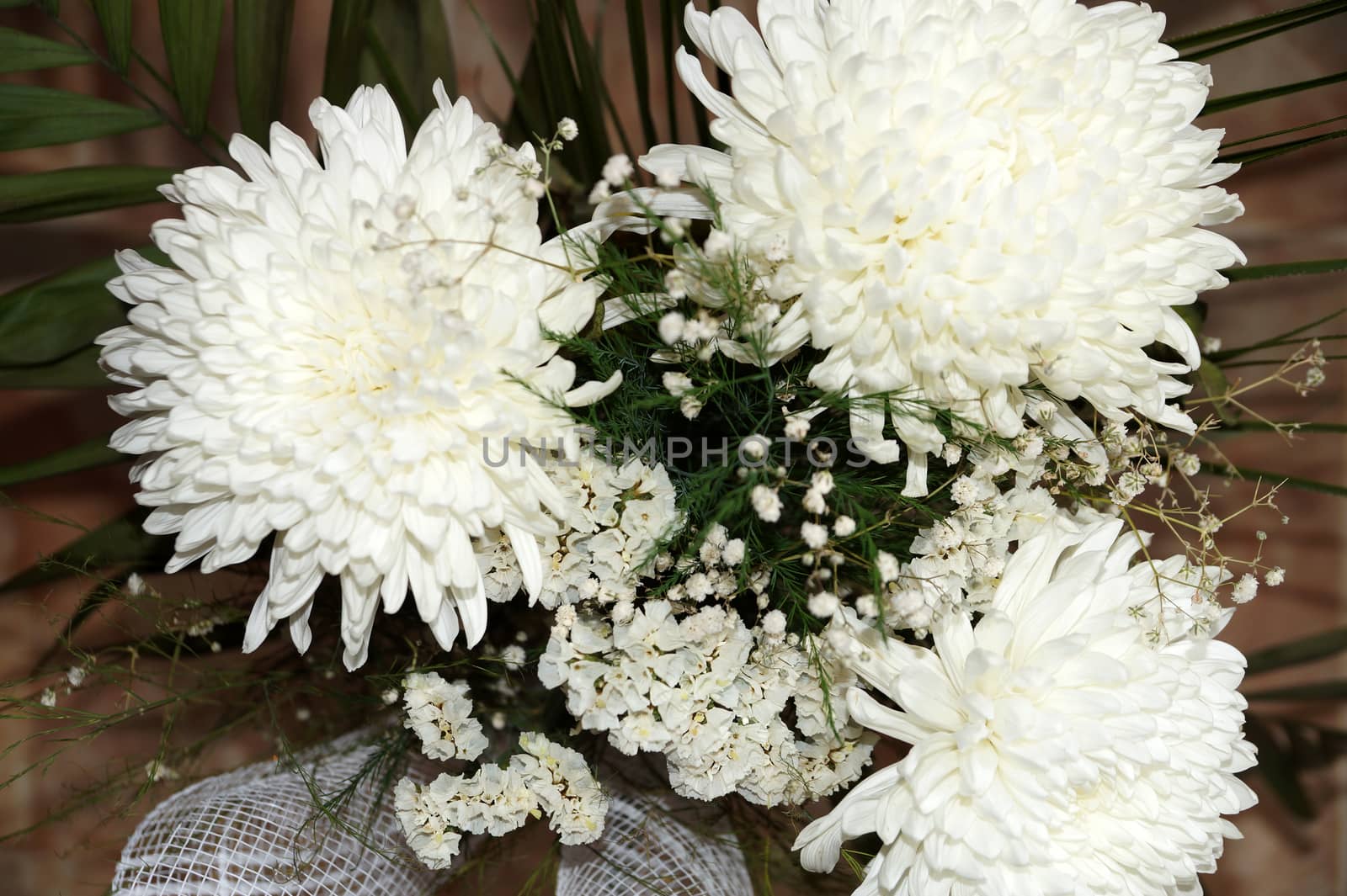 bouquet of white chrysanthemums on a light background close-up by Annado