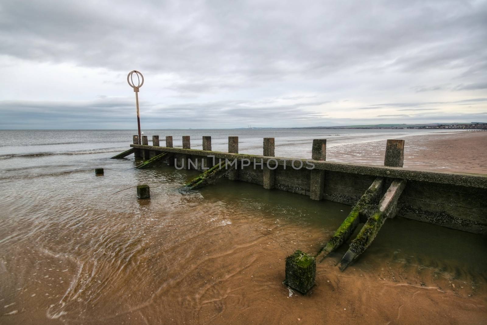 Old wooden groyne structure covered with green algae on Portobel by Ivanko