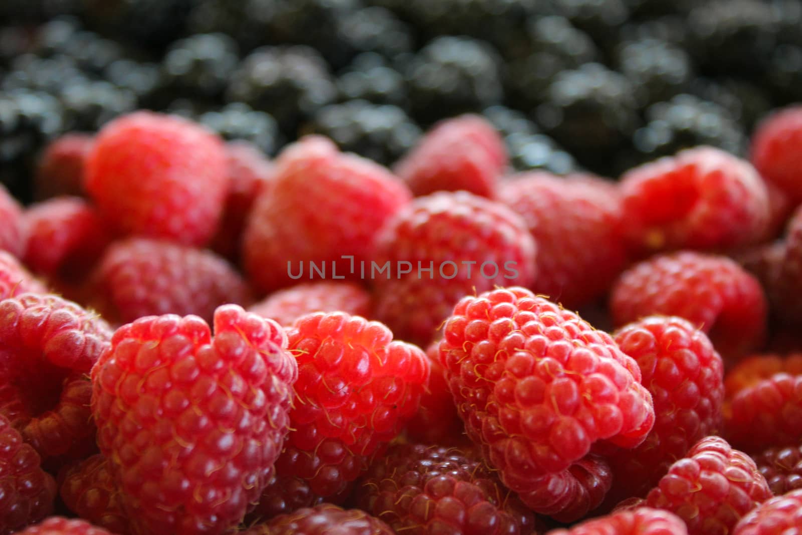 Macro of raspberries. Close up of raspberries and blackberries in the background. by mahirrov