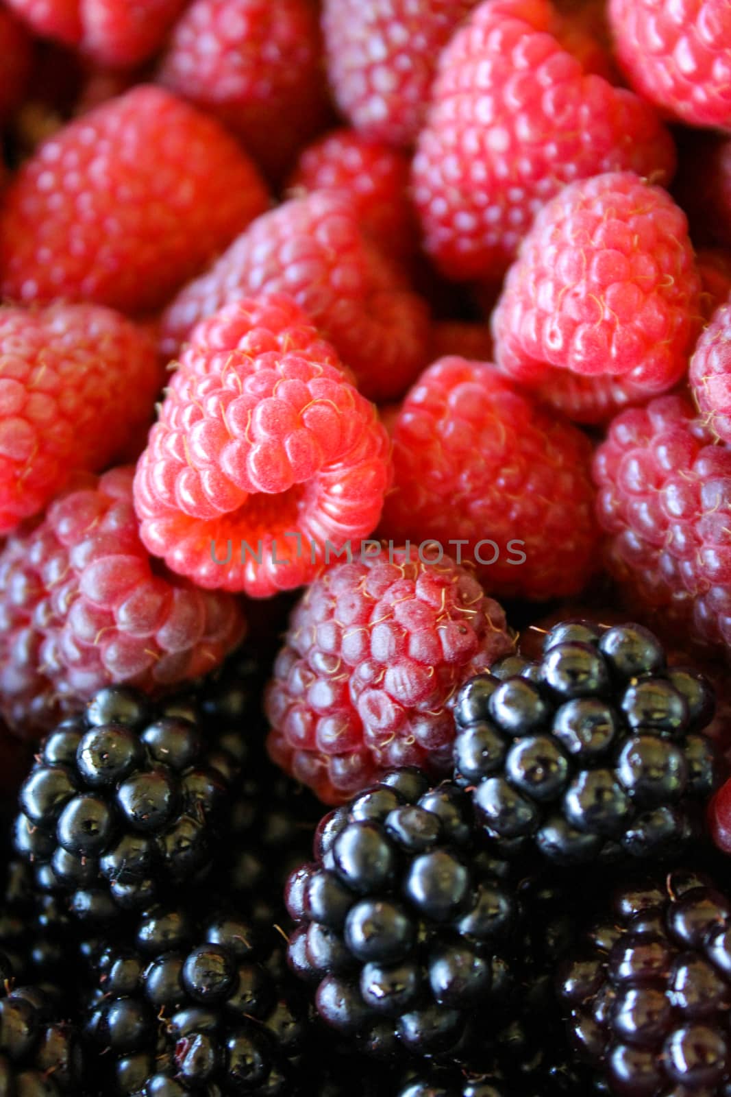 Raspberries and blackberries, vertical shot. Close up. Zavidovici, Bosnia and Herzegovina.