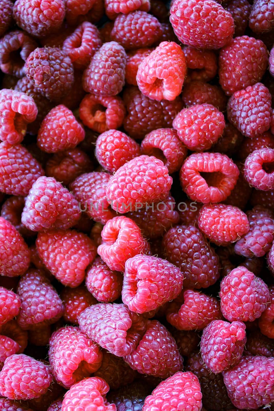 Vertical shot and top view shot. Raspberries. Full frame of raspberries. by mahirrov