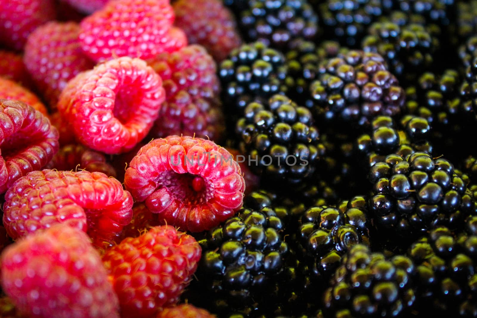 Raspberries and blackberries. Close up. Macro. by mahirrov