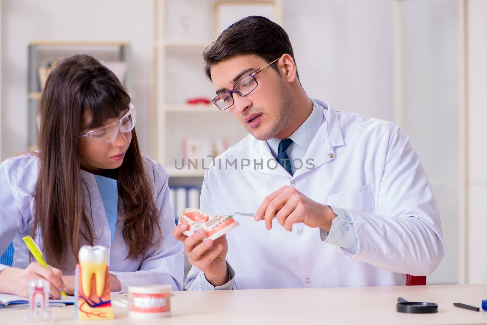 Dentist explaining student tooth structure