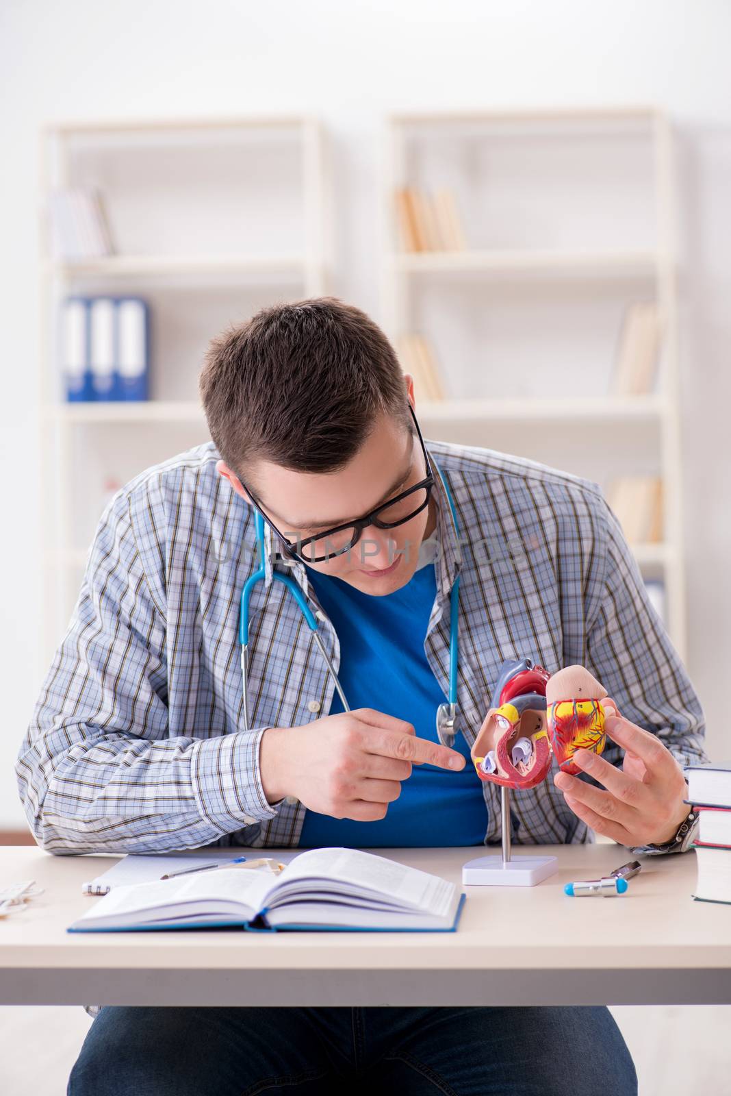 Medical student studying heart in classroom during lecture