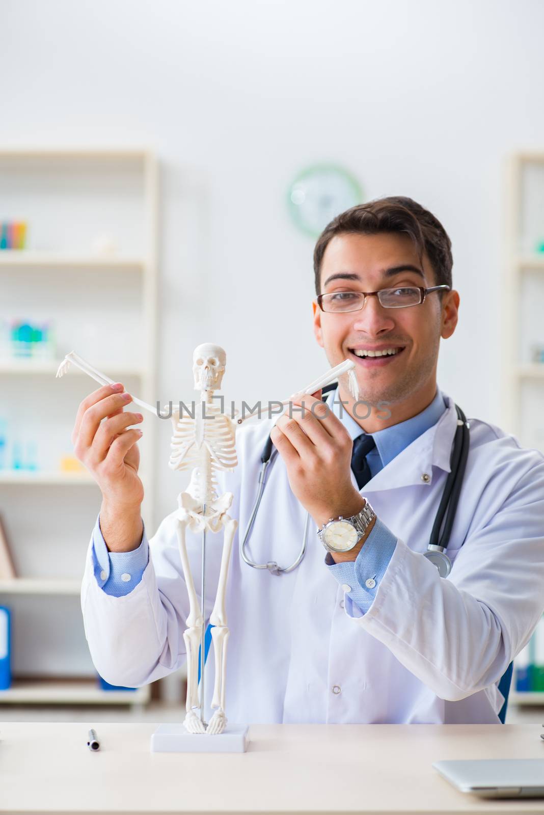 Doctor student studying the bones of skeleton