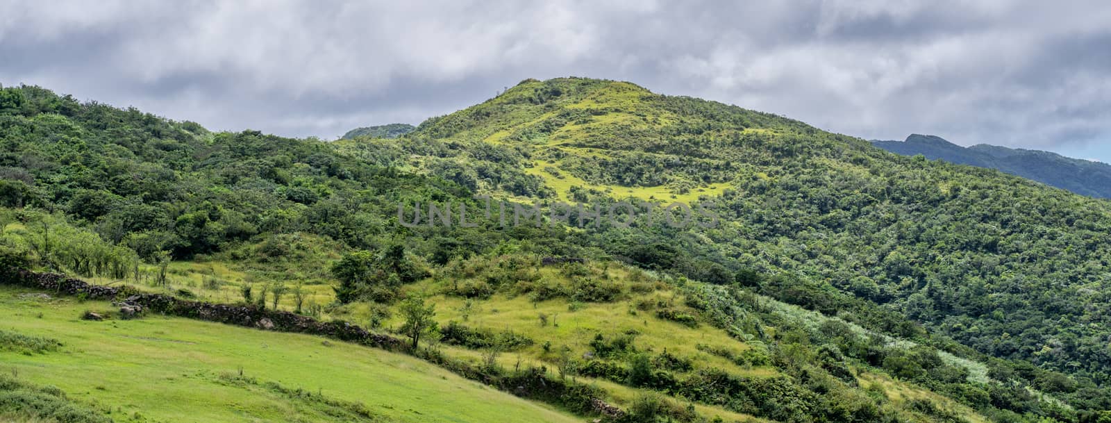 Beautiful grassland, prairie in Taoyuan Valley, Caoling Mountain by ROMIXIMAGE