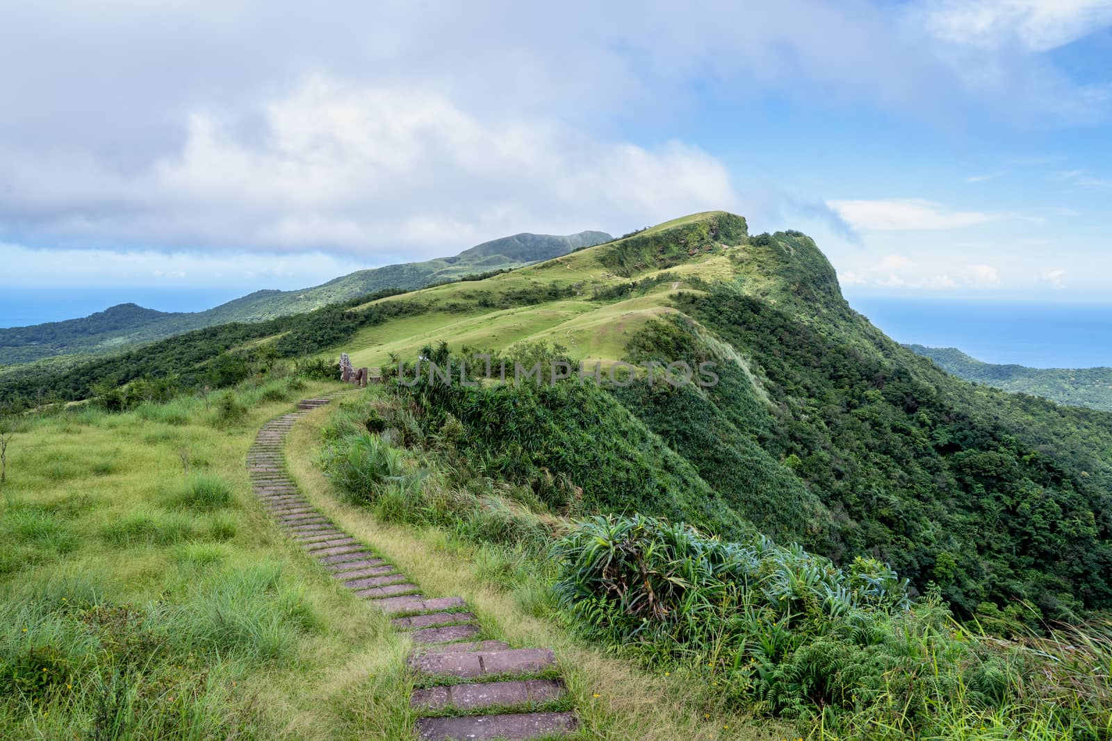 Beautiful grassland, prairie in Taoyuan Valley, Caoling Mountain Trail passes over the peak of Mt. Wankengtou in Taiwan.