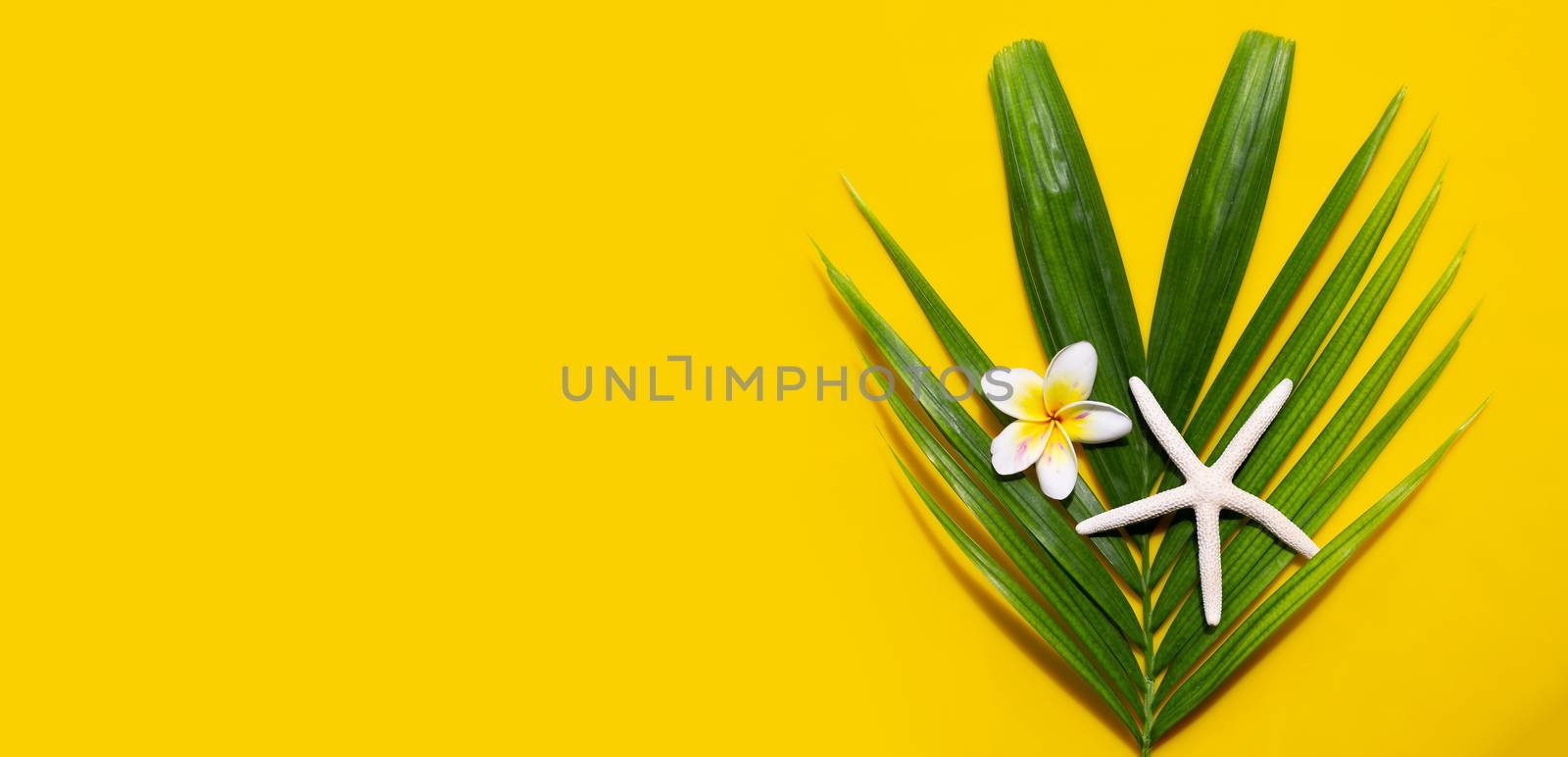 Starfish with plumeria or frangipani flower on tropical palm leaves on yellow background. Enjoy summer holiday concept. Copy space