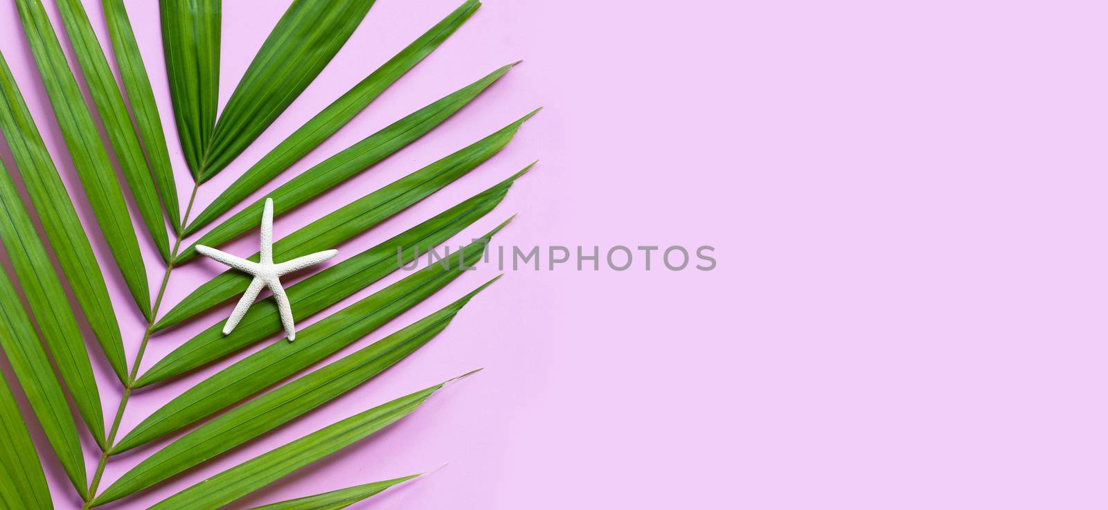 Starfish on tropical palm leaves on pink background. Enjoy summe by Bowonpat
