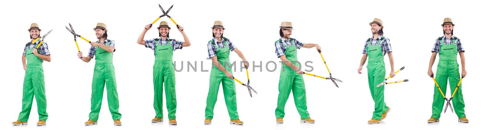 A gardener isolated on white