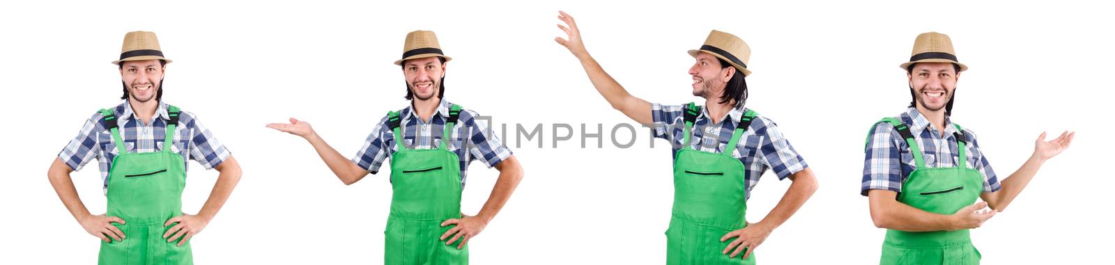 A gardener isolated on white