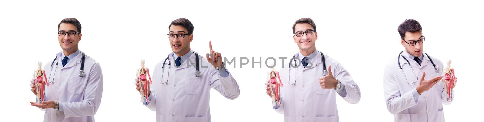 Young male doctor with skeleton isolated on white