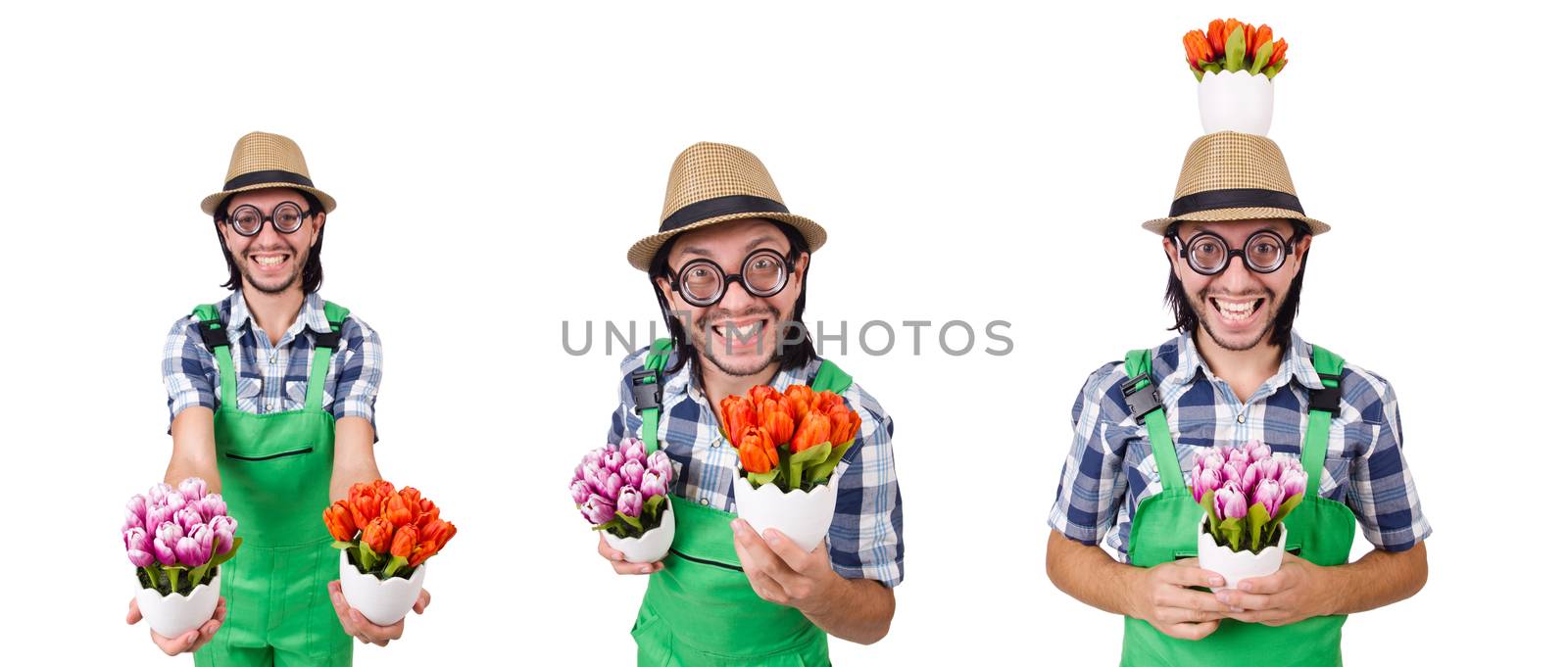 Man gardener with flowers on white