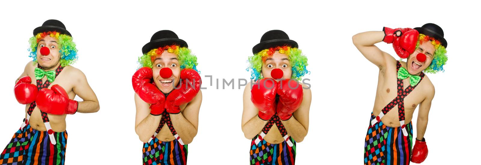Clown with boxing gloves isolated on the white
