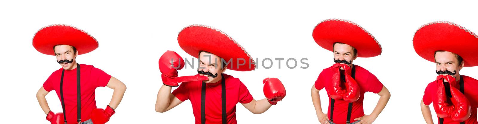 Funny mexican with boxer gloves isolated on the white
