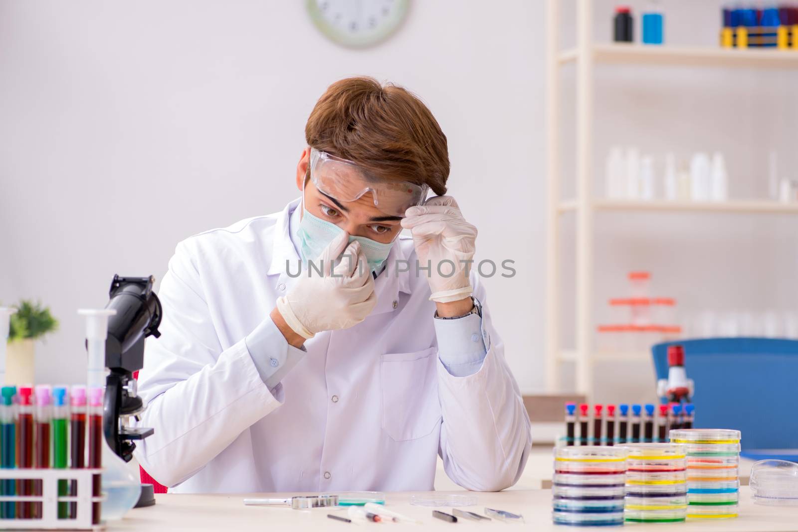 Young chemist working in the lab 