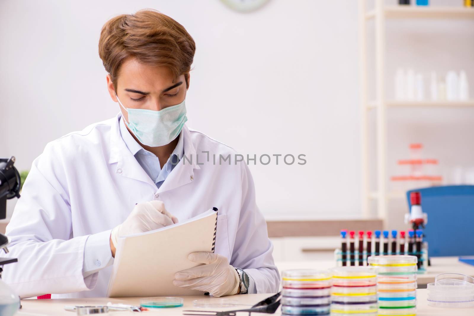 Young chemist working in the lab 
