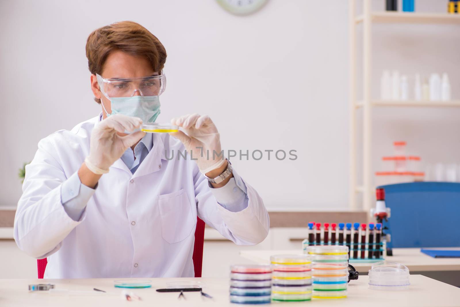 Young chemist working in the lab 