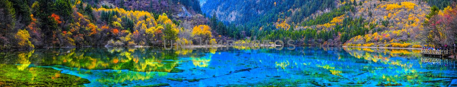 Panorama view of crystal clear water of the Five Flower Lake (Multicolored Lake) among autumn woods in  Jiuzhaigou nature (Jiuzhai Valley National Park), China.