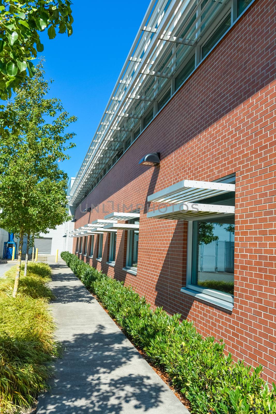 Brick wall of office building with weather shields above the windows. Office building with small hedge and concrete pathway along the wall