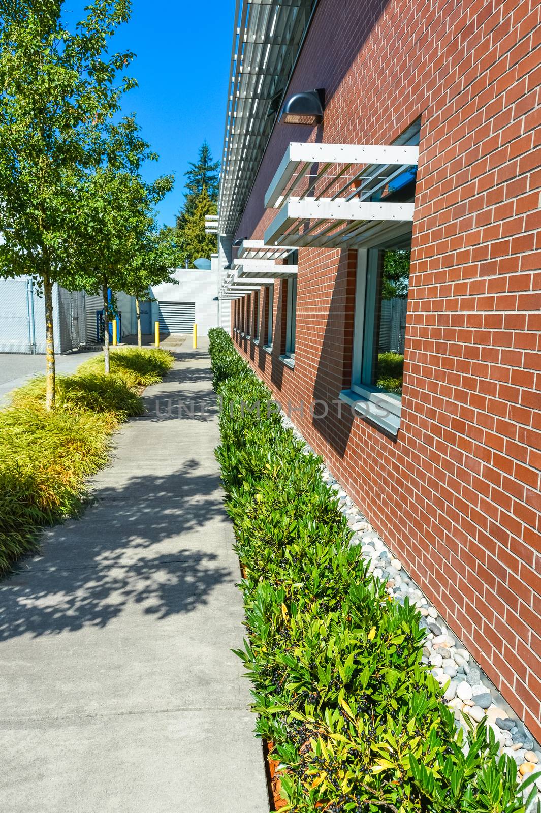 Brick wall of office building with weather shields above the windows. Office building with small hedge and concrete pathway along the wall