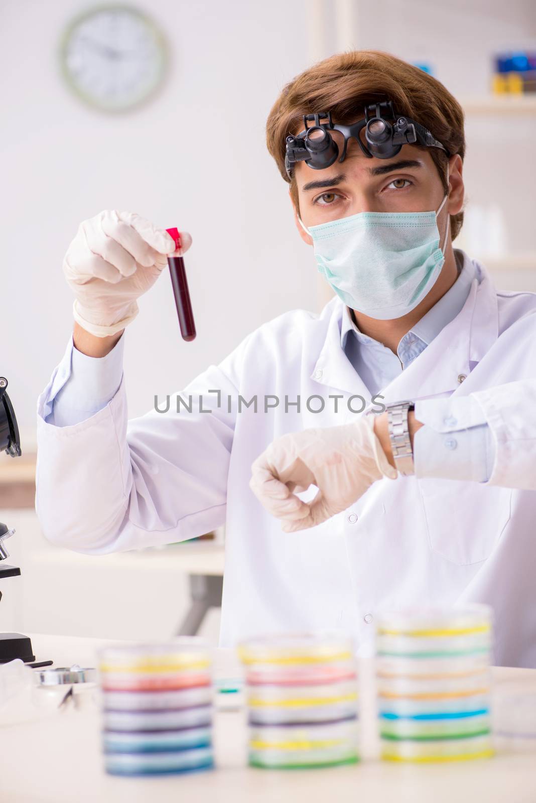 Young chemist working in the lab 