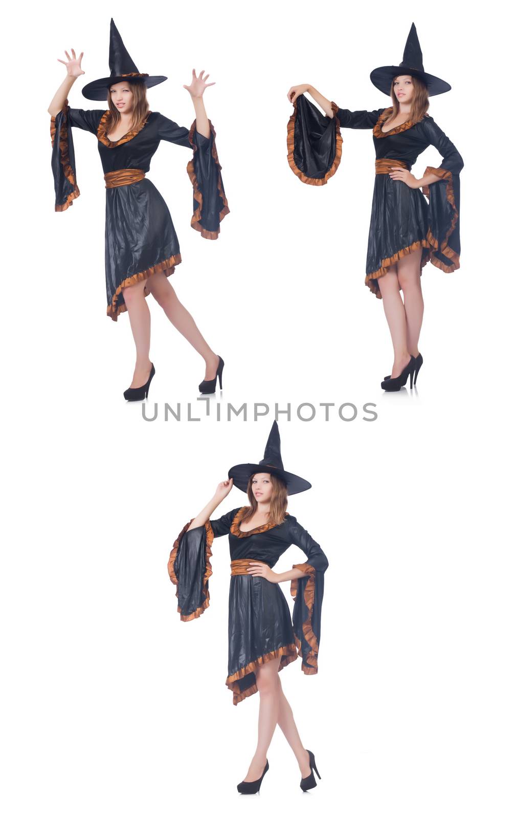 Witch isolated on the white background