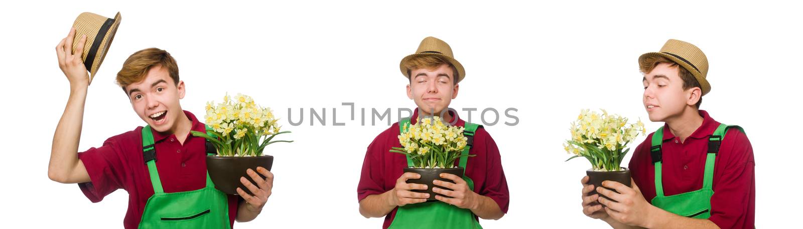 Young gardener with flower isolated on white