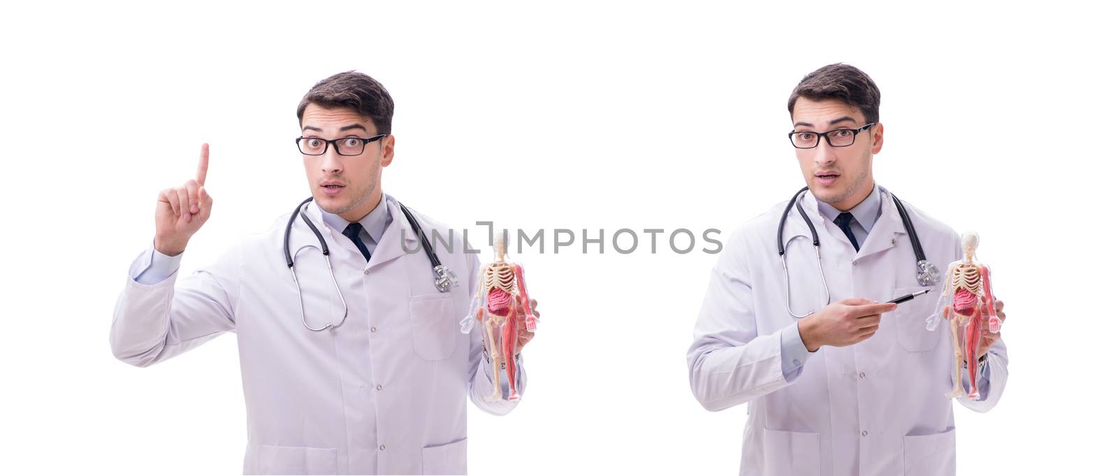 Young male doctor with skeleton isolated on white