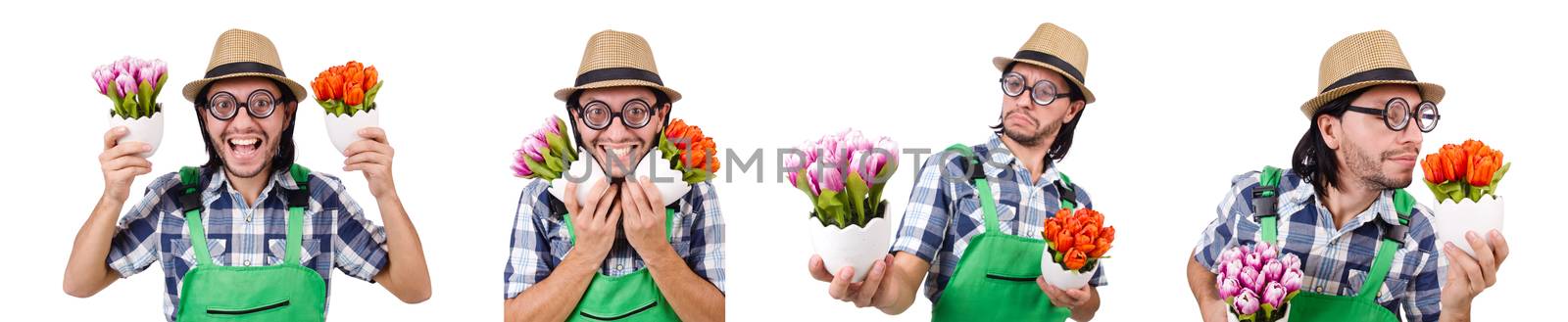 Young funny gardener with tulips isolated oin white