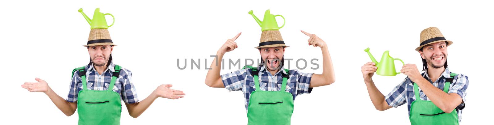 Funny gardener with watering can isolated on white