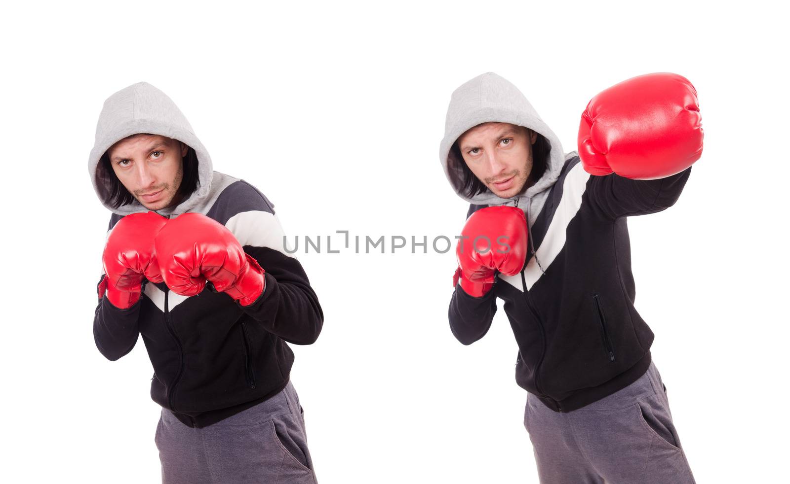 Funny boxer isolated on the white
