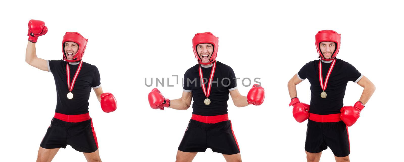 Funny boxer isolated on the white