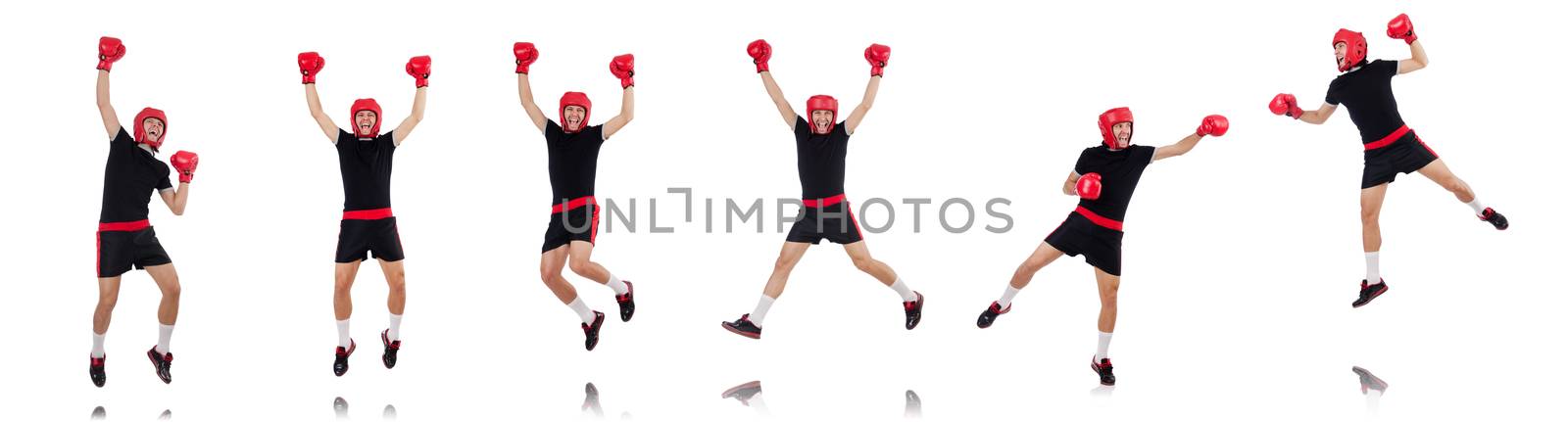 Funny boxer isolated on the white