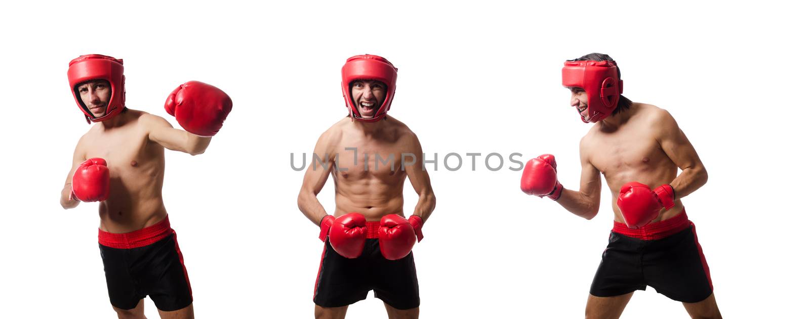 Funny boxer isolated on the white