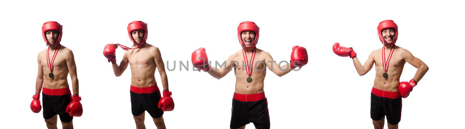 Funny boxer isolated on the white