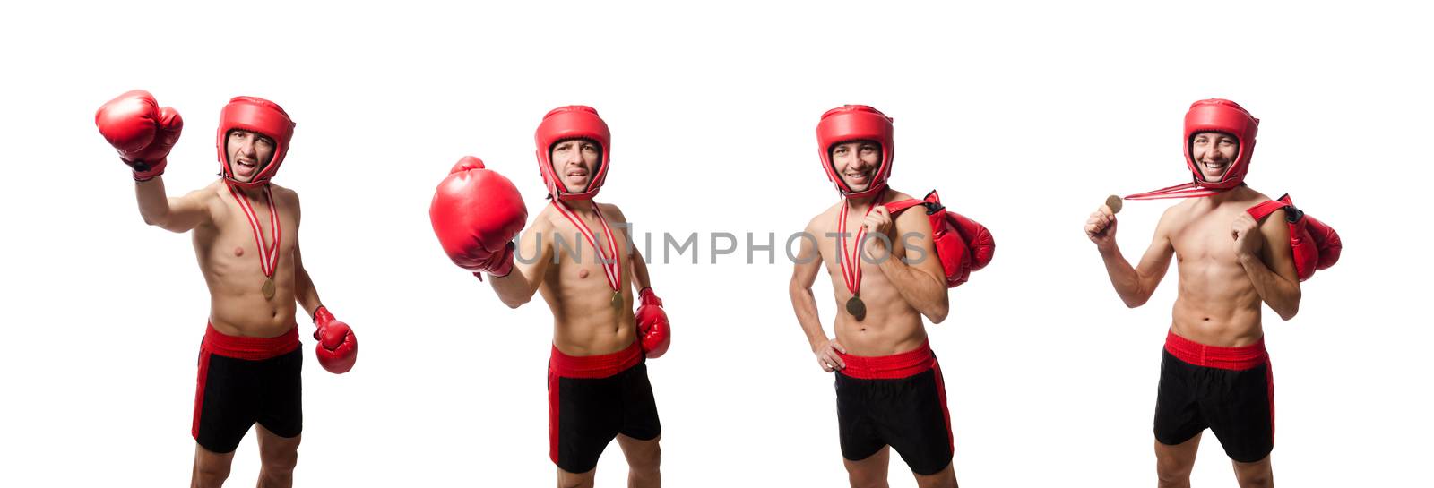 Funny boxer isolated on the white