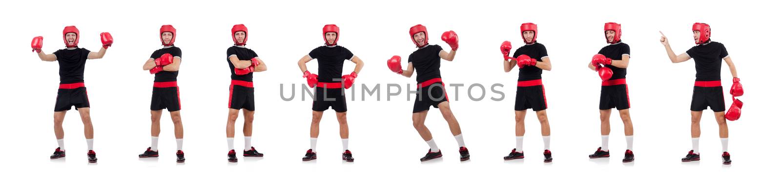 Funny boxer isolated on the white