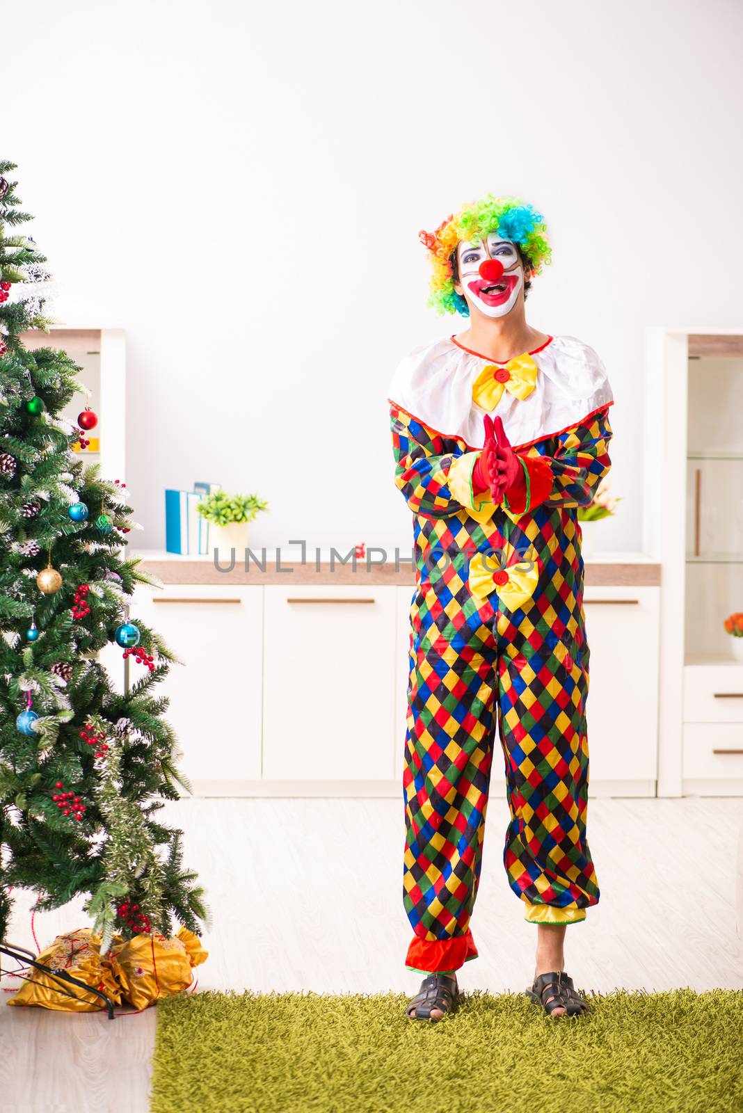 Funny clown in Christmas celebration concept  by Elnur