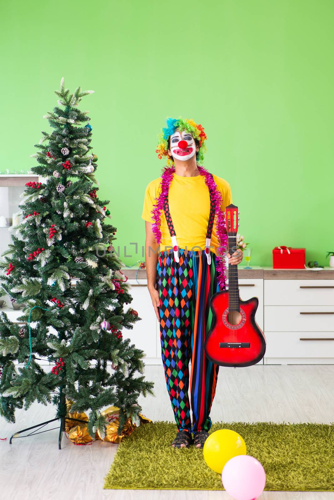 Funny clown in Christmas celebration concept  by Elnur