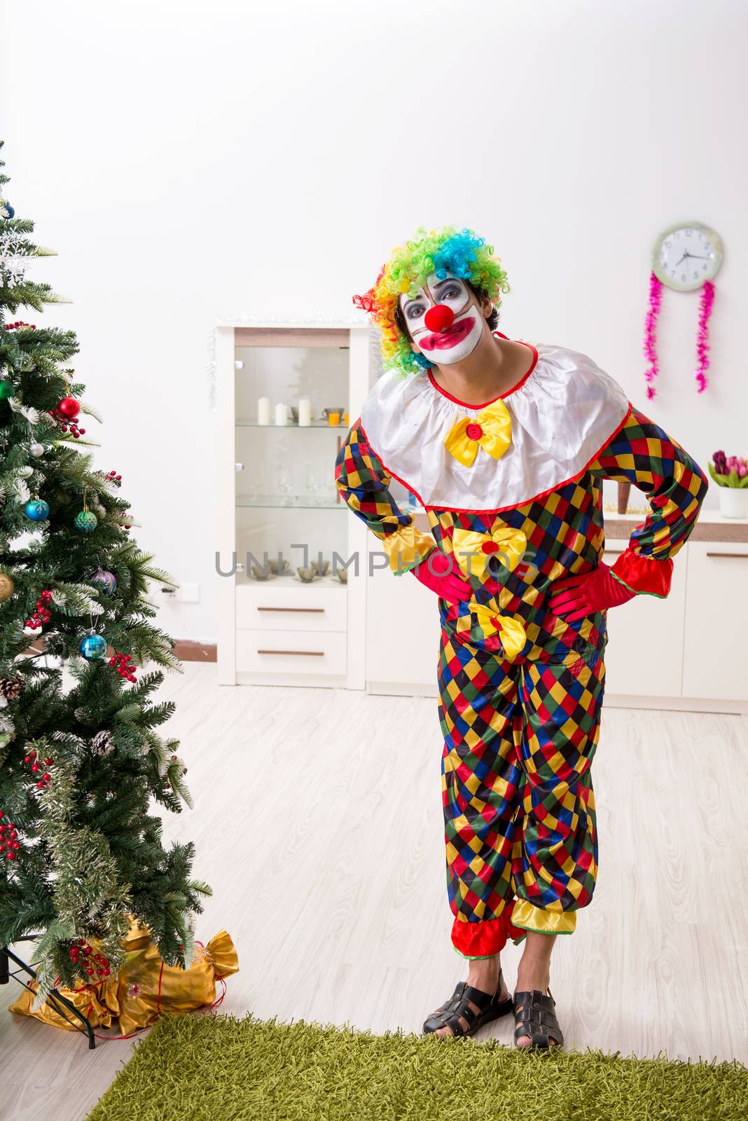 Funny clown in Christmas celebration concept  by Elnur