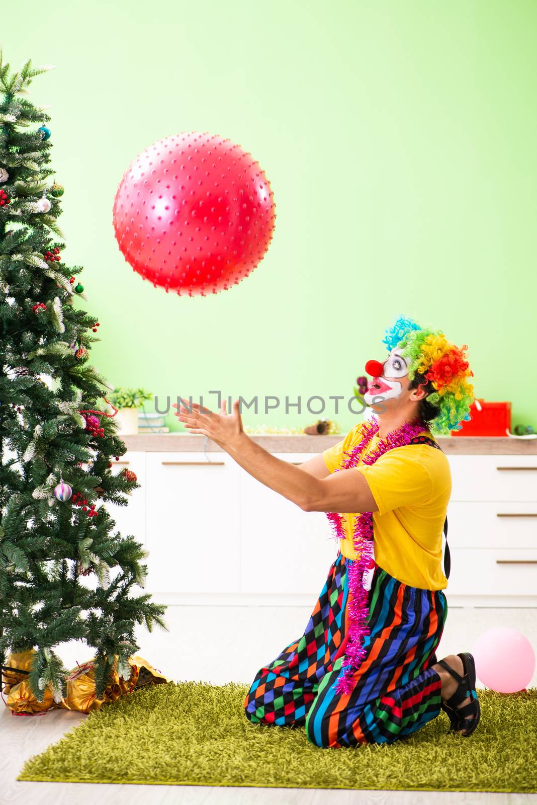 Funny clown in Christmas celebration concept 